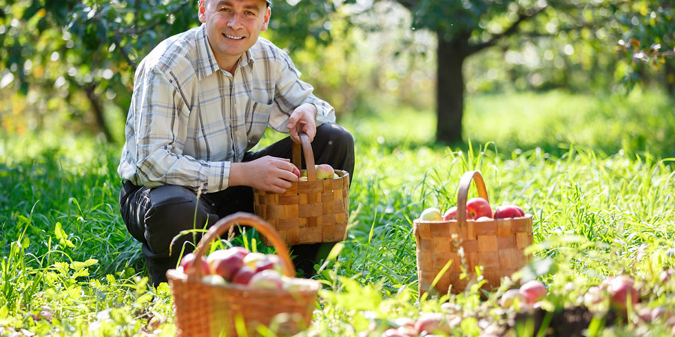 Food Forest Design