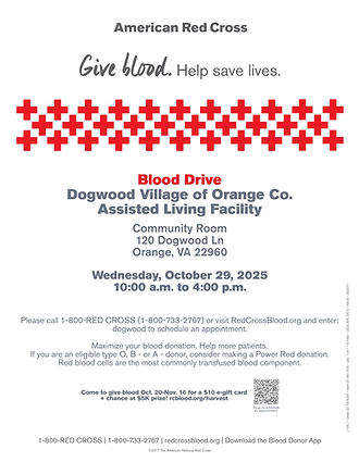 Dogwood Village October 29th Promtional Flyer.jpg