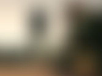 Militar procesado disciplinariamente