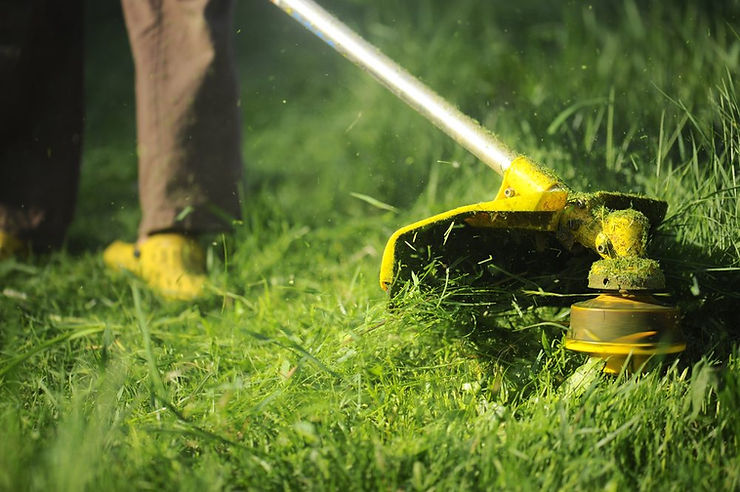 Lawn-Maintenance.jpg
