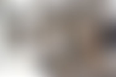 ATTACHMENT/DETACHMENT, Exposición y performance de Antonio Puri