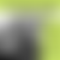 Conversatorio, Andrés Casas:
¿Qué nos impide apoyar la reintegración de las FARC? .