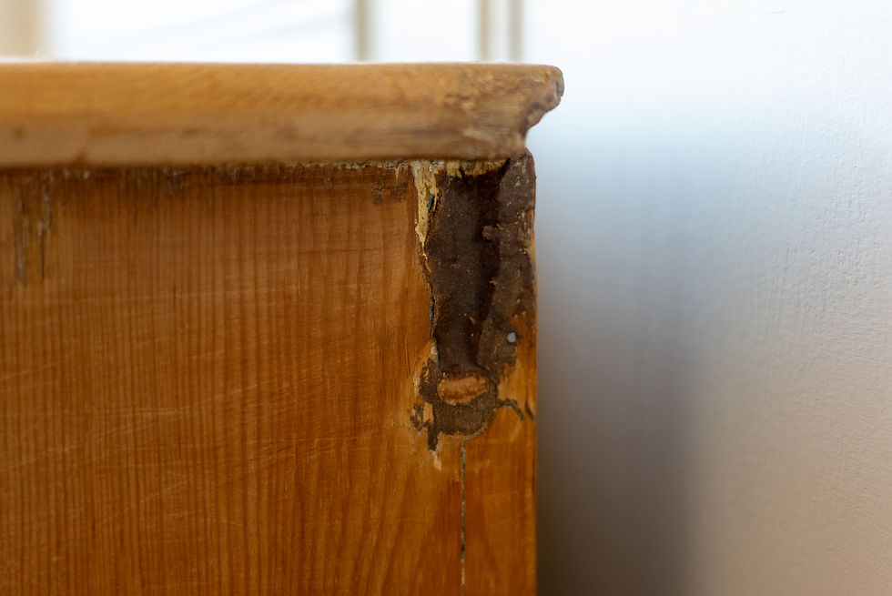 Thumbnail: Victorian Pine Pot Cupboard