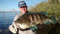 WhatsApp Image 2017-06-16 at 19.19.20