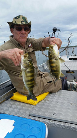 WhatsApp Image 2017-06-08 at 15.36.26