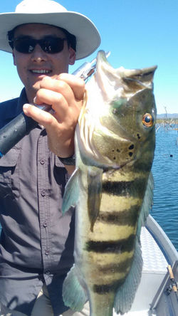 WhatsApp Image 2017-06-08 at 15.36.17