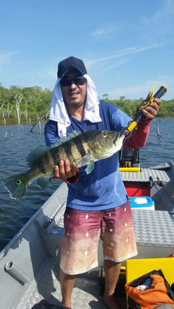 WhatsApp Image 2016-10-13 at 21.02.47