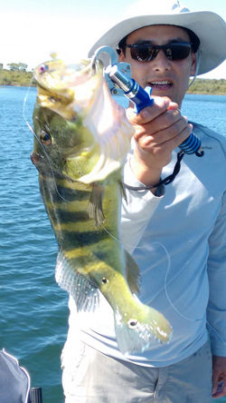 WhatsApp Image 2017-06-08 at 15.36.16