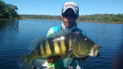 WhatsApp Image 2017-06-08 at 15.36.25