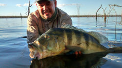 WhatsApp Image 2017-06-20 at 19.40.45