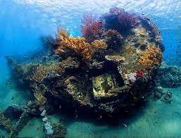 japanese wreck