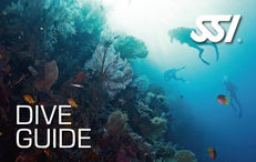dive guide.jpeg