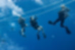 Pura Vida Curso Buceo