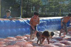 Liga Jurídica Kids 2015