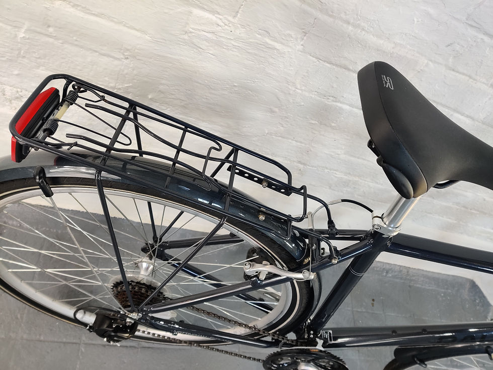 Thumbnail: Raleigh Pioneer