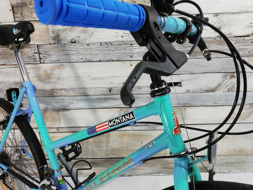 Raleigh Downhill Bike 1990 Raleigh Max 1990s Raleigh Mountain