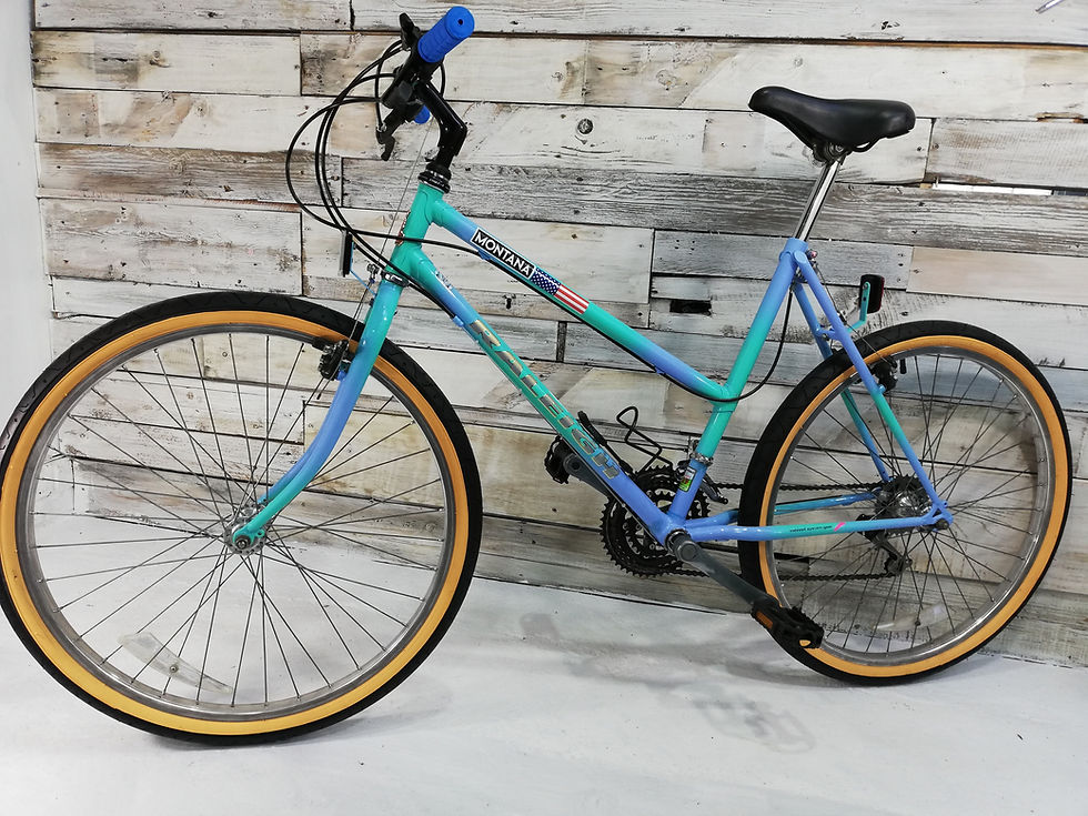 Thumbnail: 1990 Raleigh Montana (step-through) Mtb