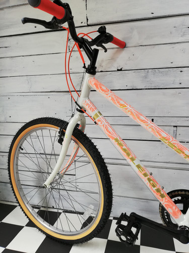 RALEIGH ZESTマウンテン バイク RALEIGH ZESTマウンテン バイク