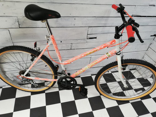 Raleigh Pioneer Raleigh Monsoon Ladies Bike 1996 Raleigh Zest