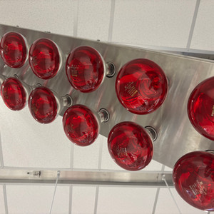 Red heat lamps, which mimic the sun's heat, at the Thermal Ergonomics Laboratory at the University of Sydney, Australia. Laurie Goering/Climate Resilience for All