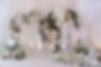S__137183267.jpg