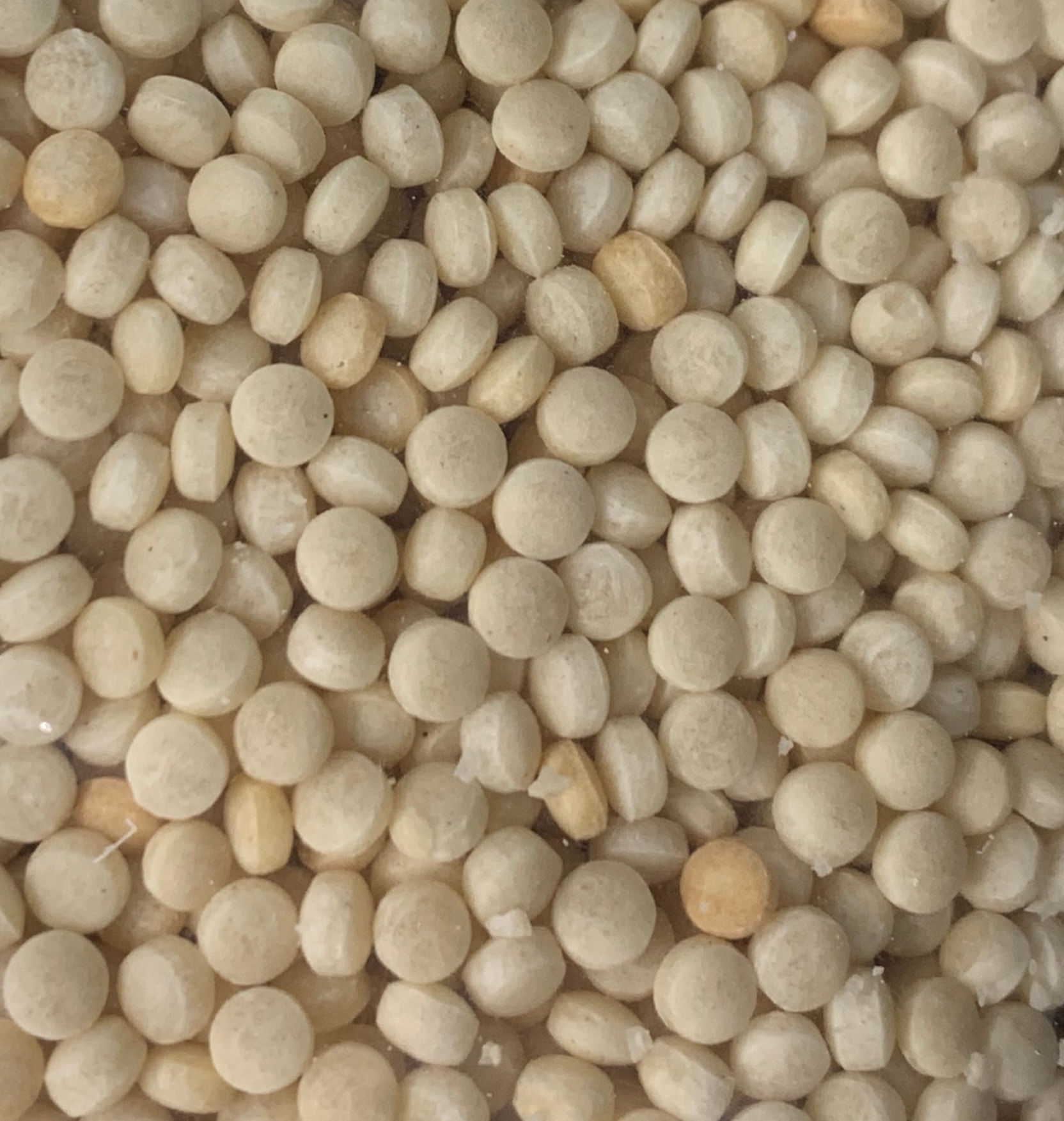 GIANT COUSCOUS ISRAELI 1KG