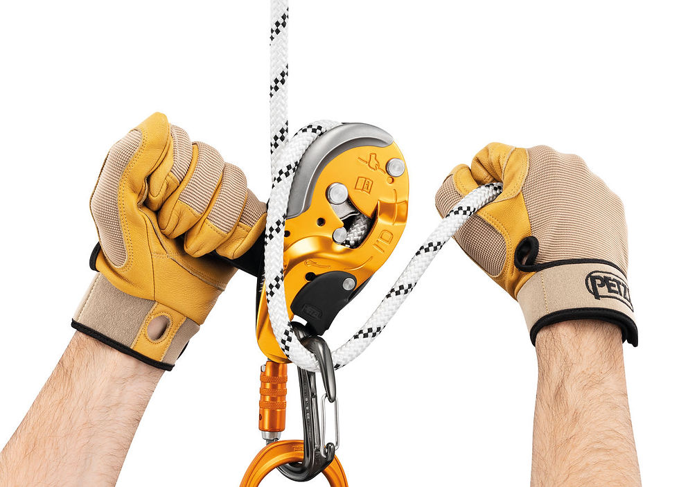 Miniatura: Mosquetón con gancho de frenado FREINO Z | PETZL®