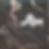 design2.png