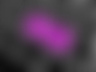  《 求職 • 英語加強篇  》