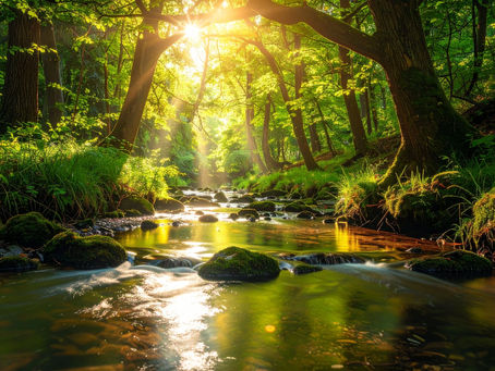 リトアニアの水が美容と健康にいい理由