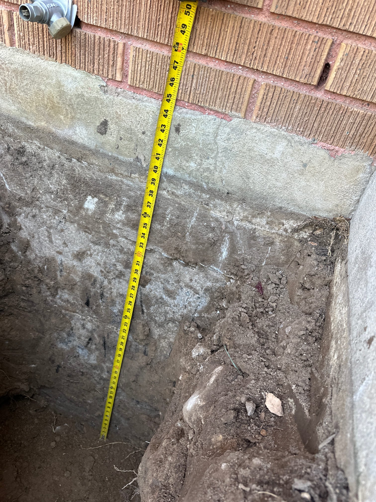 Image depicting emergency mold damage services. Experts in licensed emergency mold remediation and mold damage repair, ensuring a safe and healthy environment.