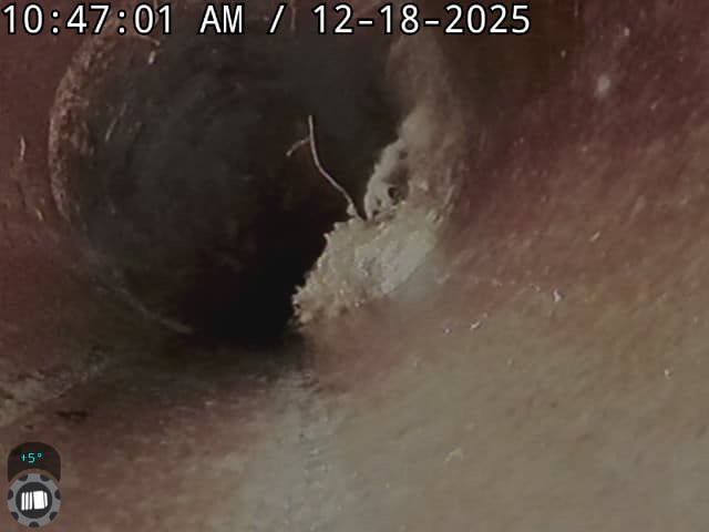 Image depicting the aftermath of failed flood remediation, highlighting potential mold growth. Focus is on the importance of proper flood remediation diagnosis to prevent secondary issues like mold, emphasizing the need for effective mold remediation strategies following water damage.