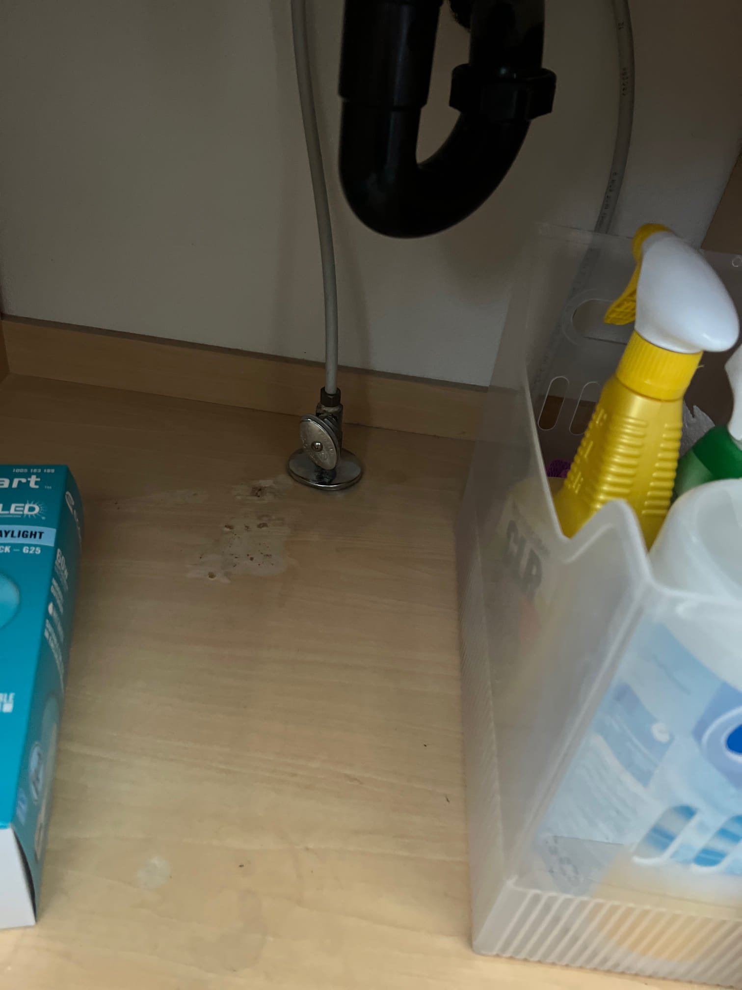 Residential drywall water damage cleanup service. Professional water damage restoration nearby, specializing in drywall repair and cleanup. Fast, reliable service for your home.