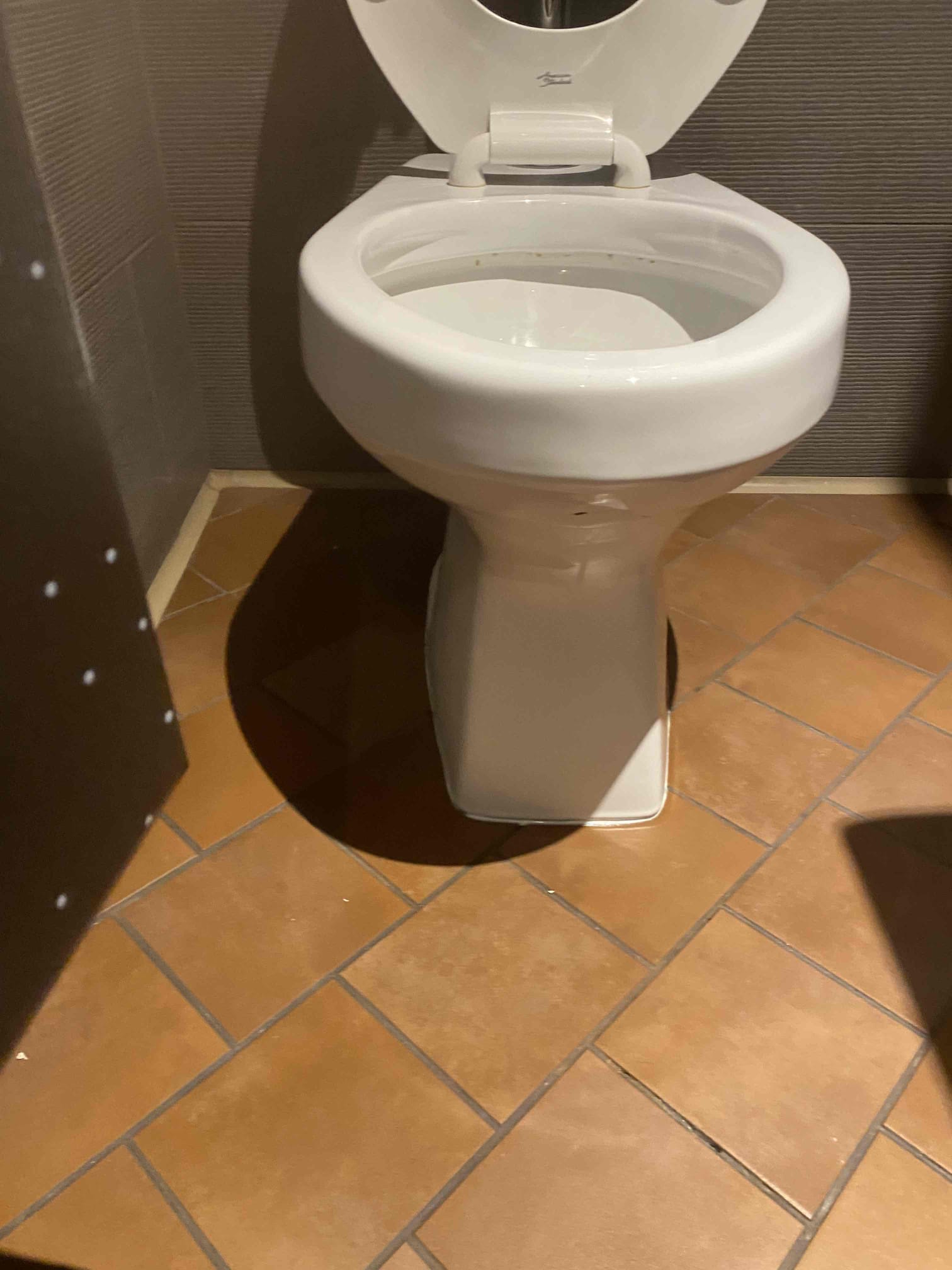 Image of toilet supplies for unclogging a Santaquin, Utah, home's main line. Dealing with a stubborn clog and a rotten egg smell (likely sulfur from our local water)? This image highlights tools and solutions to tackle both, helping you restore your plumbing and eliminate that unpleasant odor in your Santaquin home.