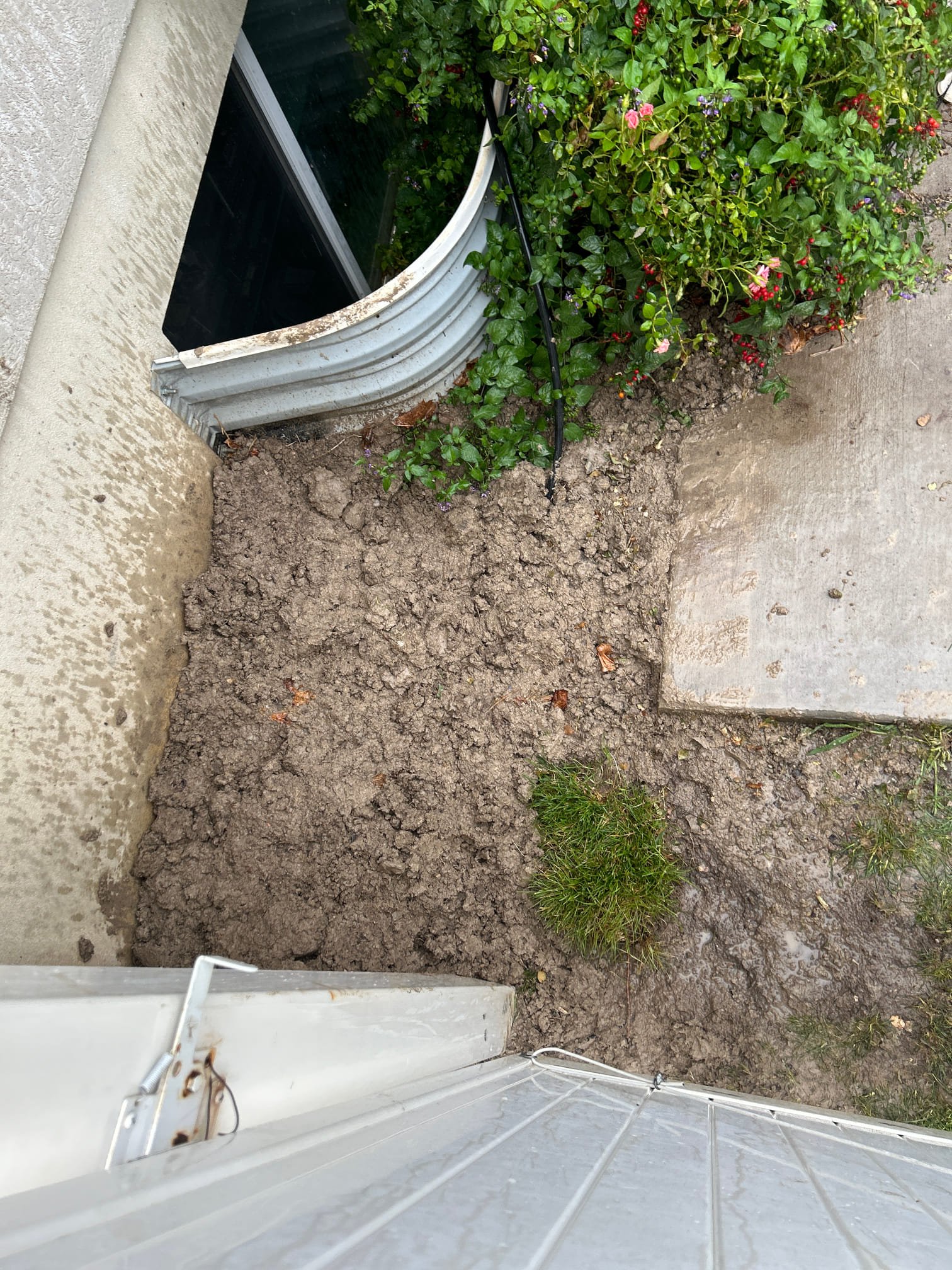 Water softener equipment in a basement setting, potentially contributing to humidity issues indicated by mold on the basement ceiling and the need for water damage repair and maintenance. The image highlights the connection between water treatment systems and overall basement health, emphasizing the importance of moisture control to prevent structural damage and mold growth.