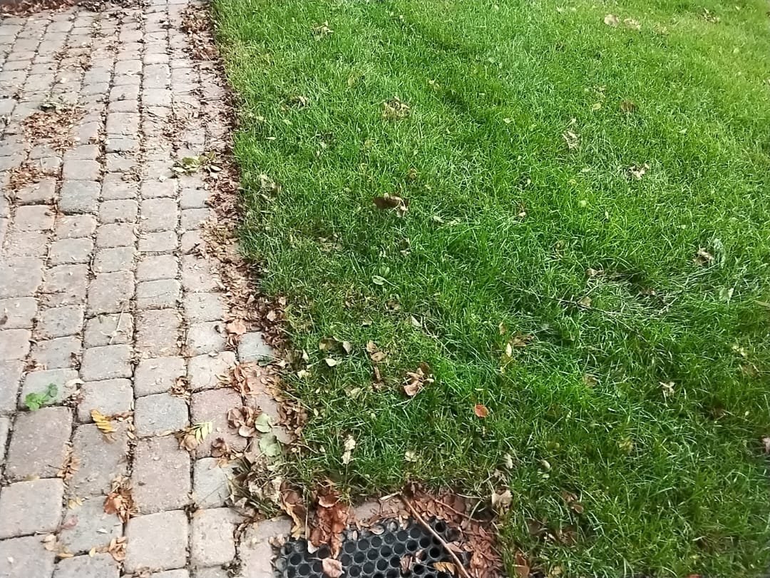 Bountiful, Utah businesses shine with our dust cleaning service, ensuring a clean and professional environment. We also offer basement storm and disaster cleaning repair, helping Davis County homes recover from unexpected events.