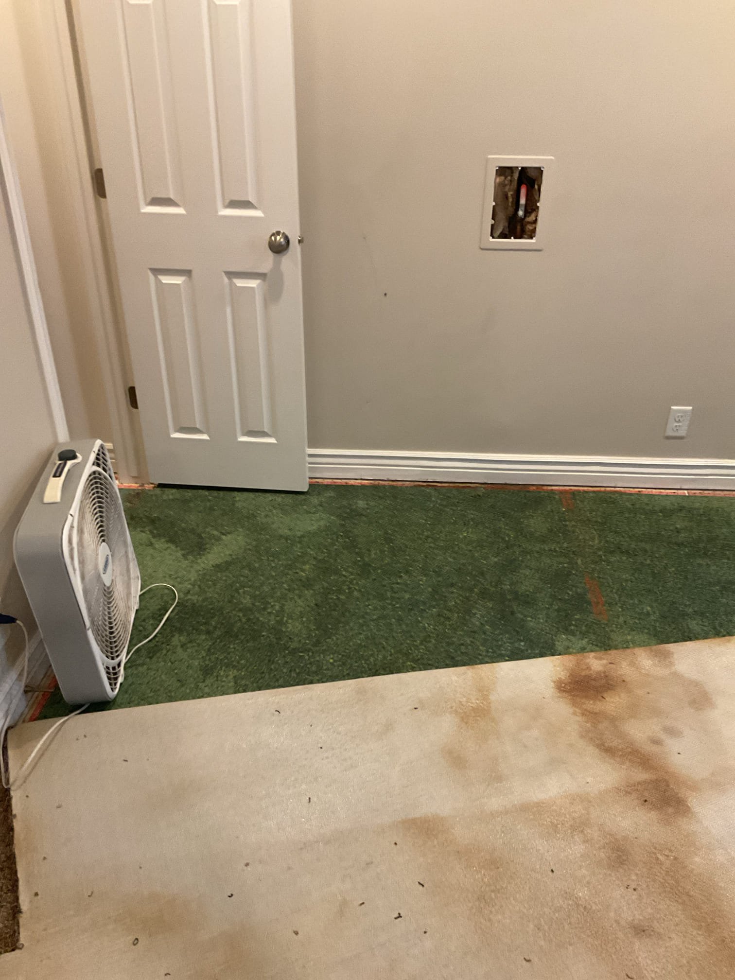 Commercial drywall water damage repair estimate in Taylorsville, Utah. Addressing damage possibly linked to soft water system issues. Local service specializing in fixing water-damaged drywall for businesses in Taylorsville, UT.