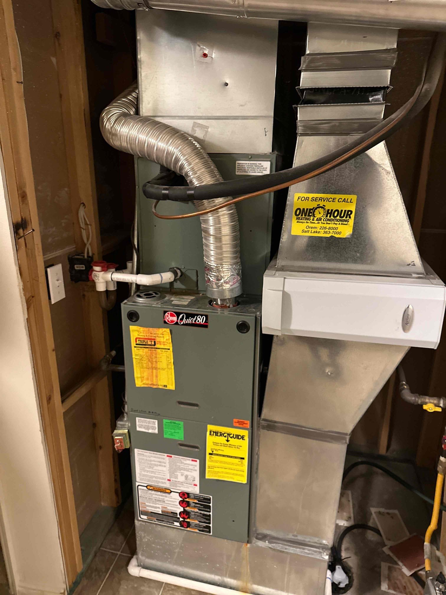 Image depicting emergency mold damage services installation, highlighting the importance of professional mold damage services and emergency mold damage services inspection for a healthy and safe environment.