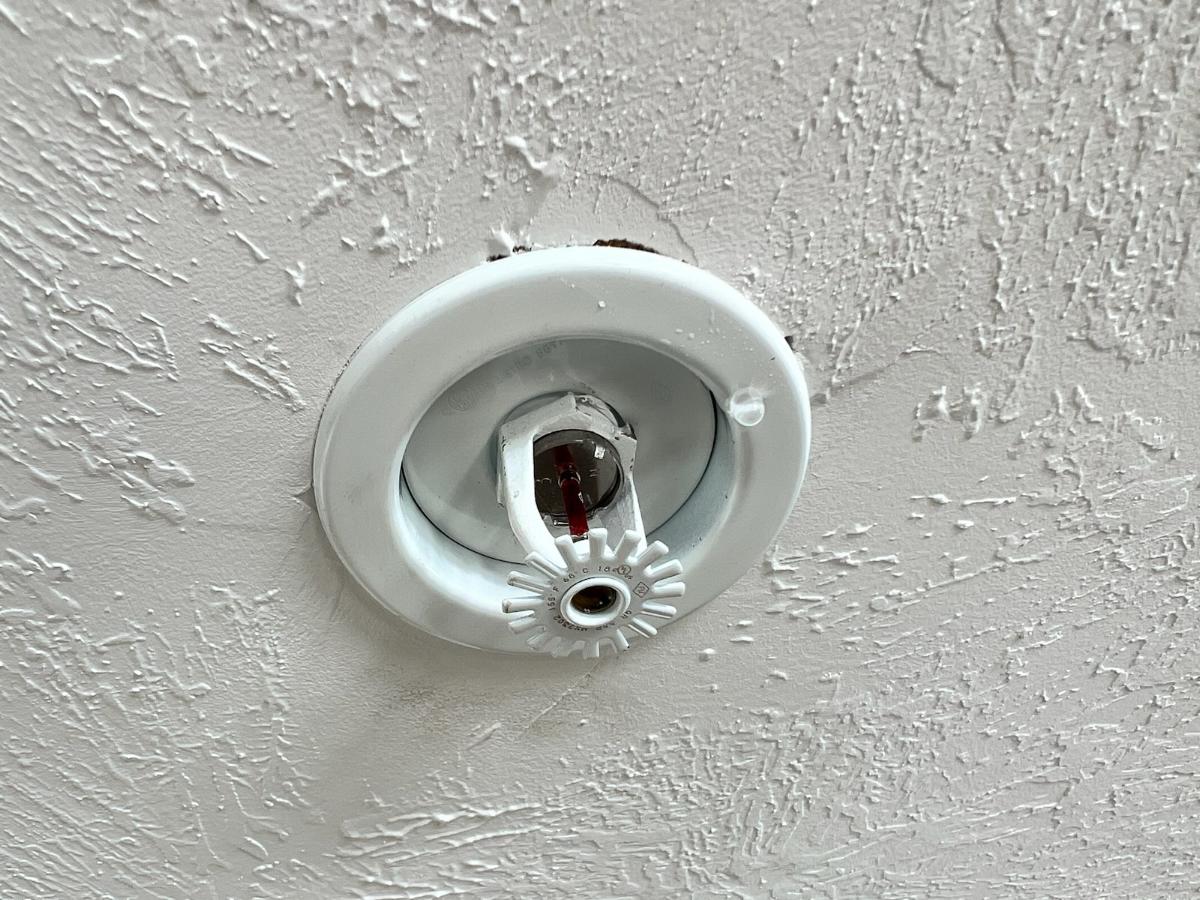 Image depicts a mainline cleanout, a crucial access point for drain cleaning. Essential for using drain and trap cleaner and accessing the cleanout drain to clear blockages and maintain proper plumbing function.