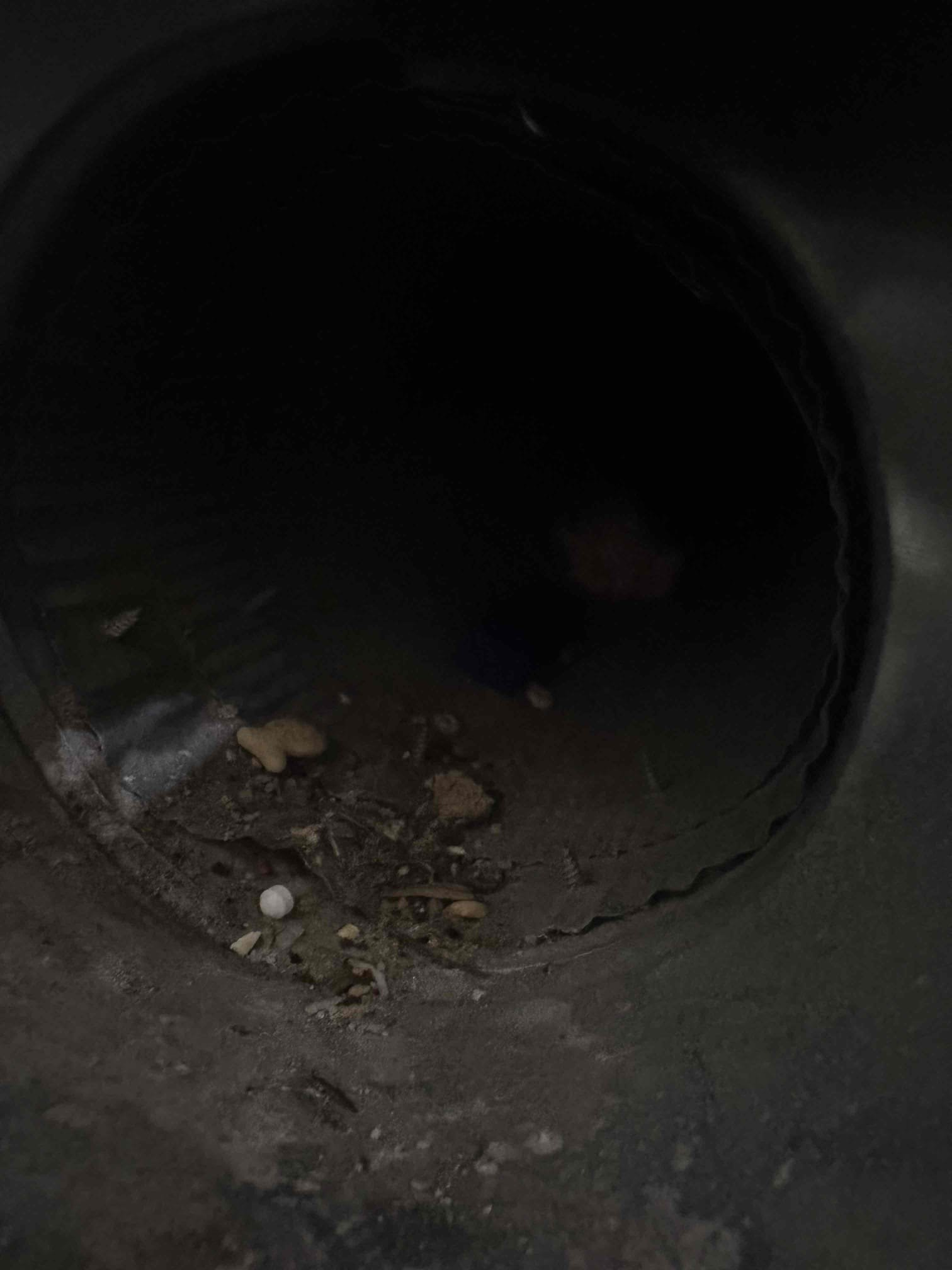 A silent air purifier effectively eliminates odors and pollutants, similar to gas sniffers detecting harmful substances. Ideal for commercial smoke odor removal services, ensuring clean and fresh air.