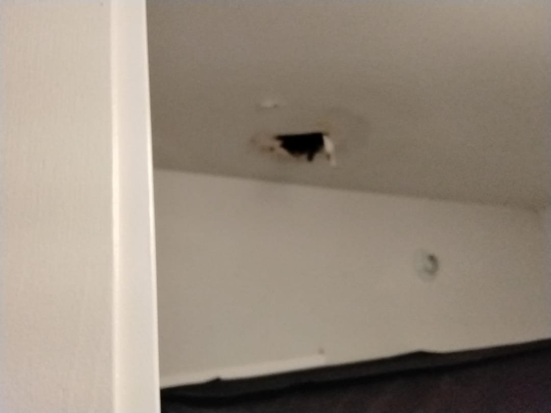 Professional basement storm and disaster repair image featuring water softeners and salt. Focus on basement disaster recovery and water damage mitigation.