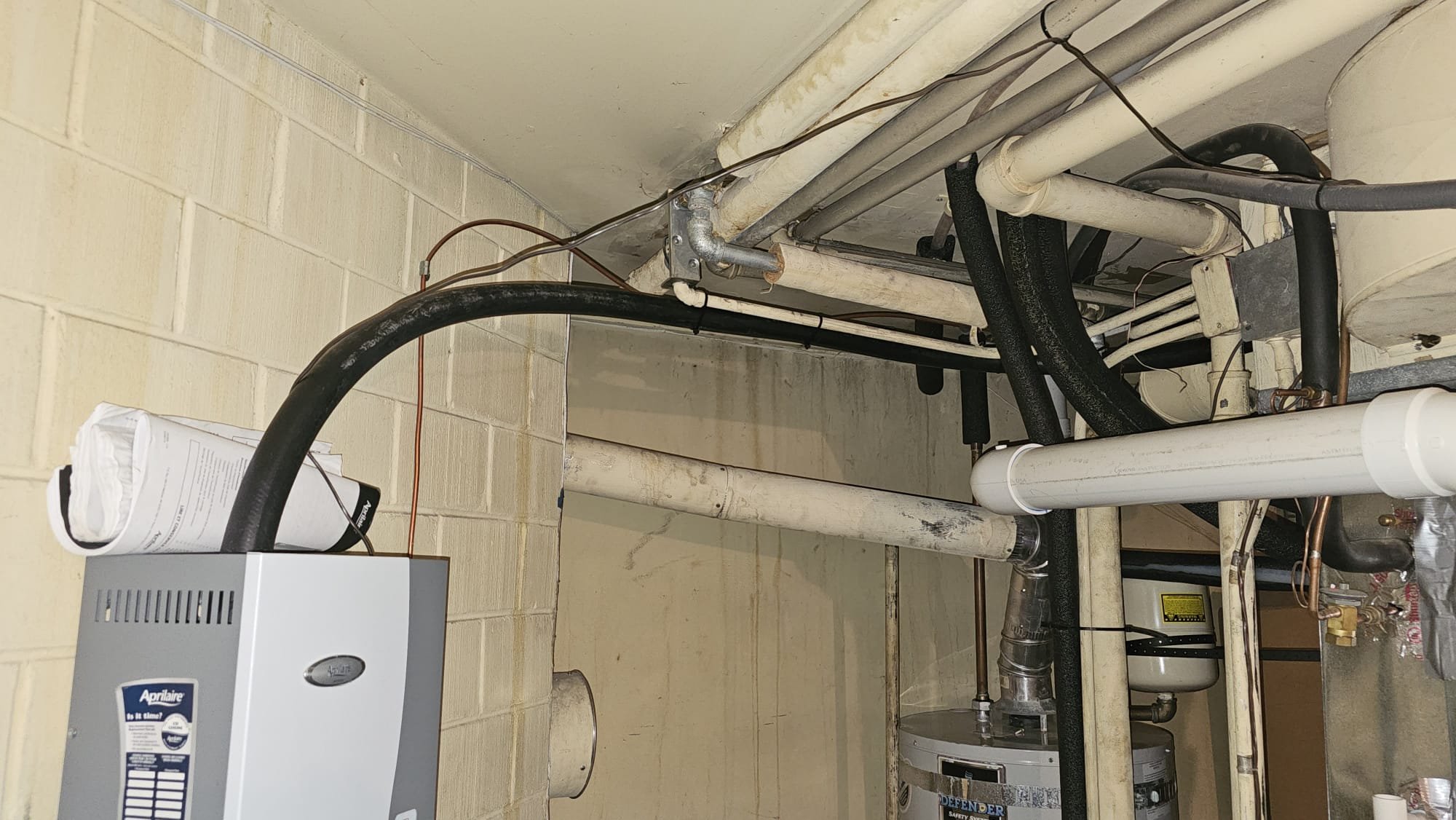 Effective odor removal for clothes, addressing tough smells like skunk and cigarette smoke. Learn how to eliminate persistent odors and freshen your wardrobe. Solutions for skunk odor removal and cigarette smell elimination.