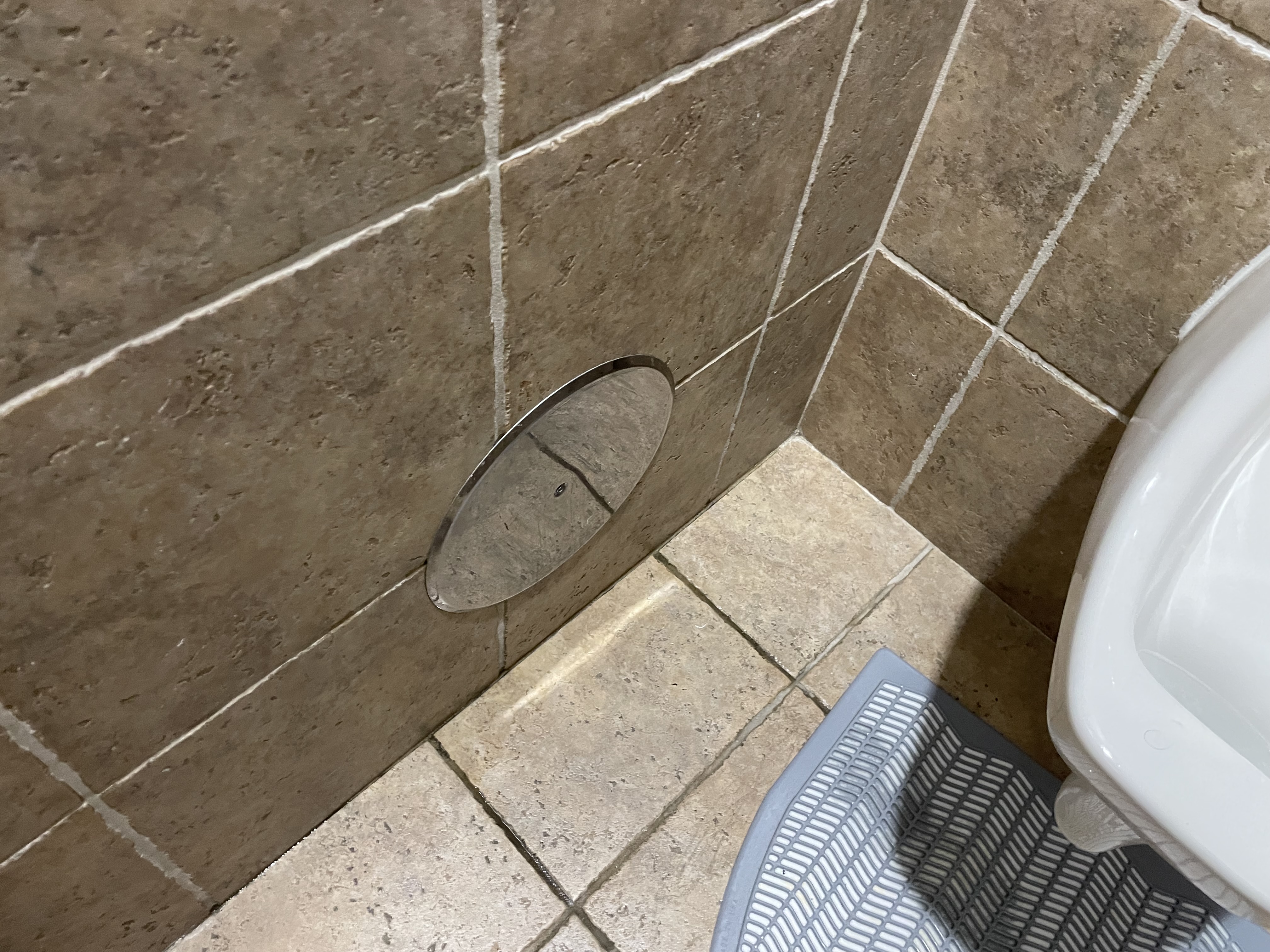 Image depicting bathroom mold recovery troubleshooting, relevant to laundry room musty smells and professional bathroom mold remediation services. Addresses common mold problems and solutions.