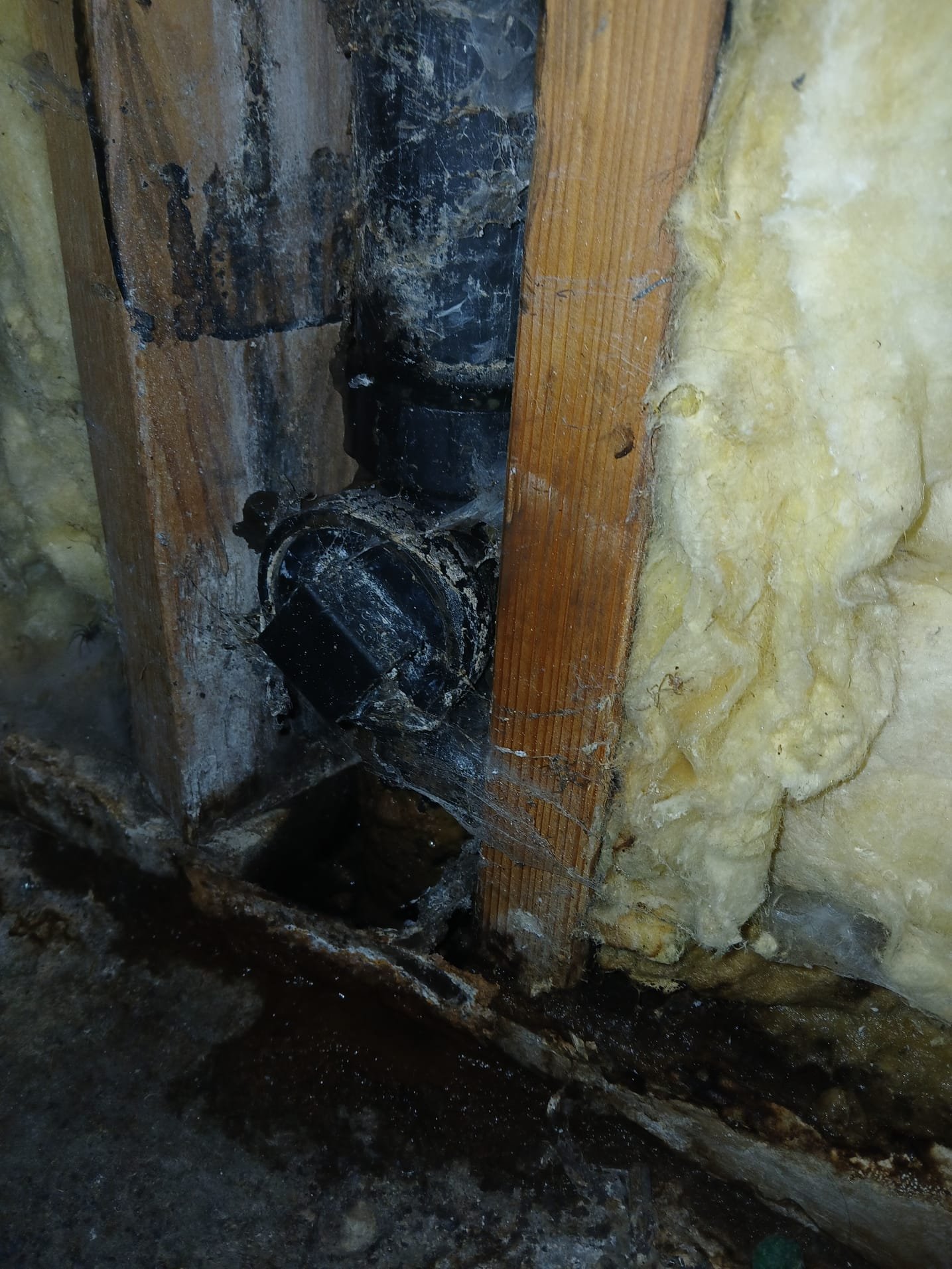 Image depicting pipes being flushed in a house, a common plumbing task. Regular pipe flushing, when performed by a drain inspection company, can help prevent root intrusion and costly damage from roots in pipes, ensuring a healthy plumbing system.