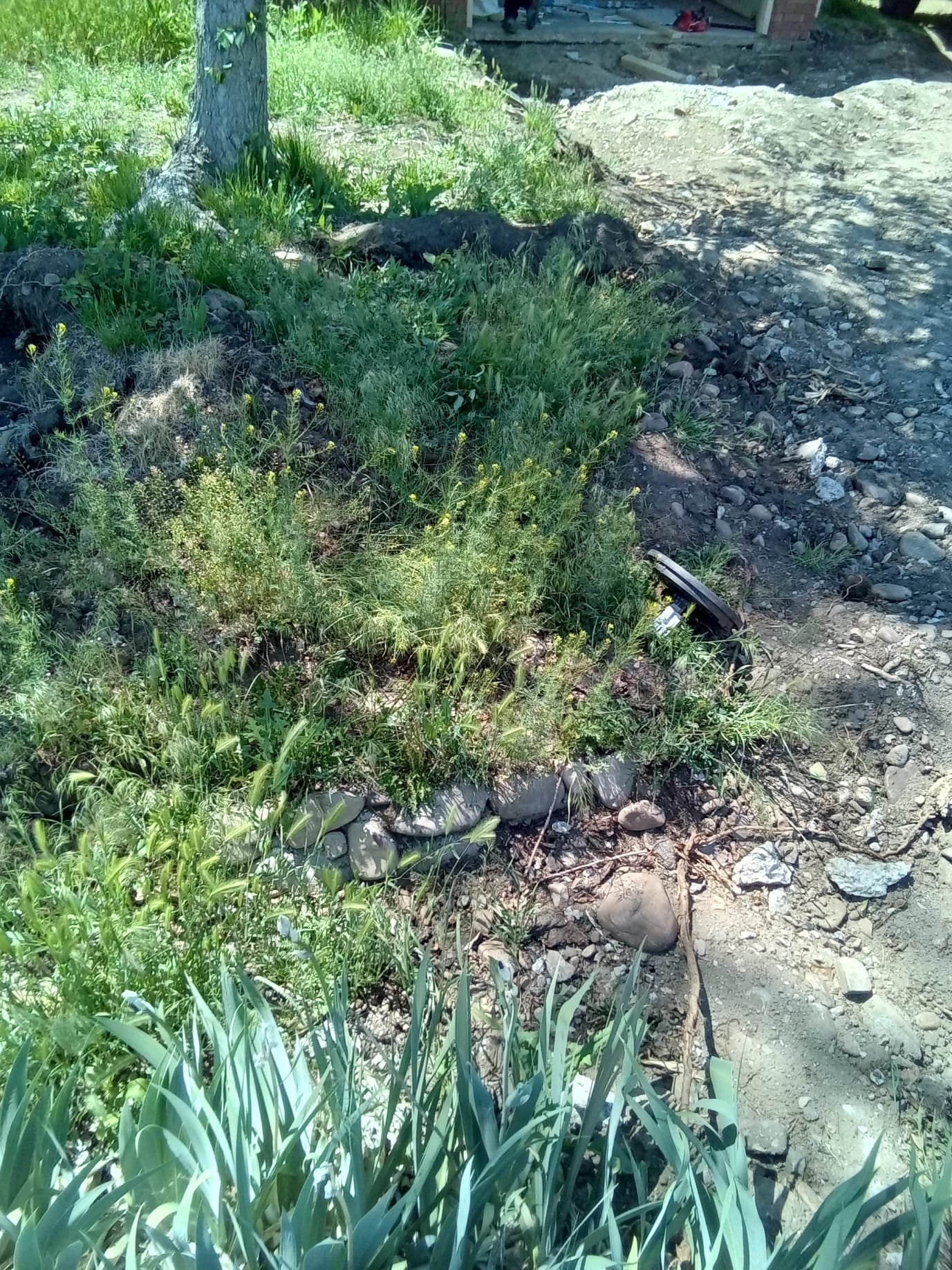 Commercial flood damage cleanup in Provo, Utah. Heavy-duty cleaning company tackling water damage restoration, similar to commercial flood cleaning service 4, serving businesses throughout the Provo area. Expert water removal and structural drying services available.