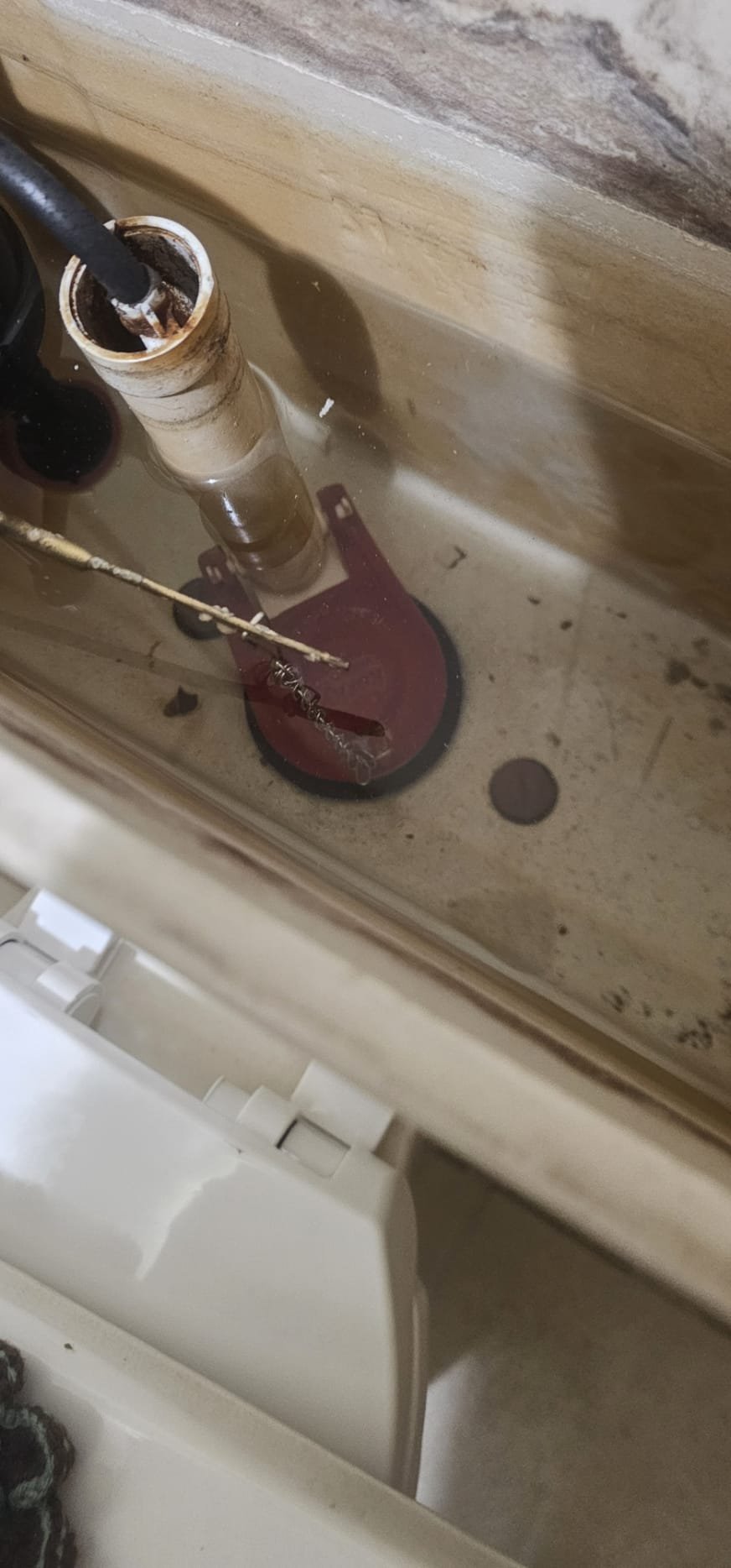 Image depicting potential commercial drywall water damage, emphasizing the importance of professional and affordable recovery services. Consider calling for help when water damage is extensive, affecting large areas, or if you're unsure about DIY solutions, especially in relation to complex systems like soft water systems. Prompt action prevents further structural issues and costly repairs.