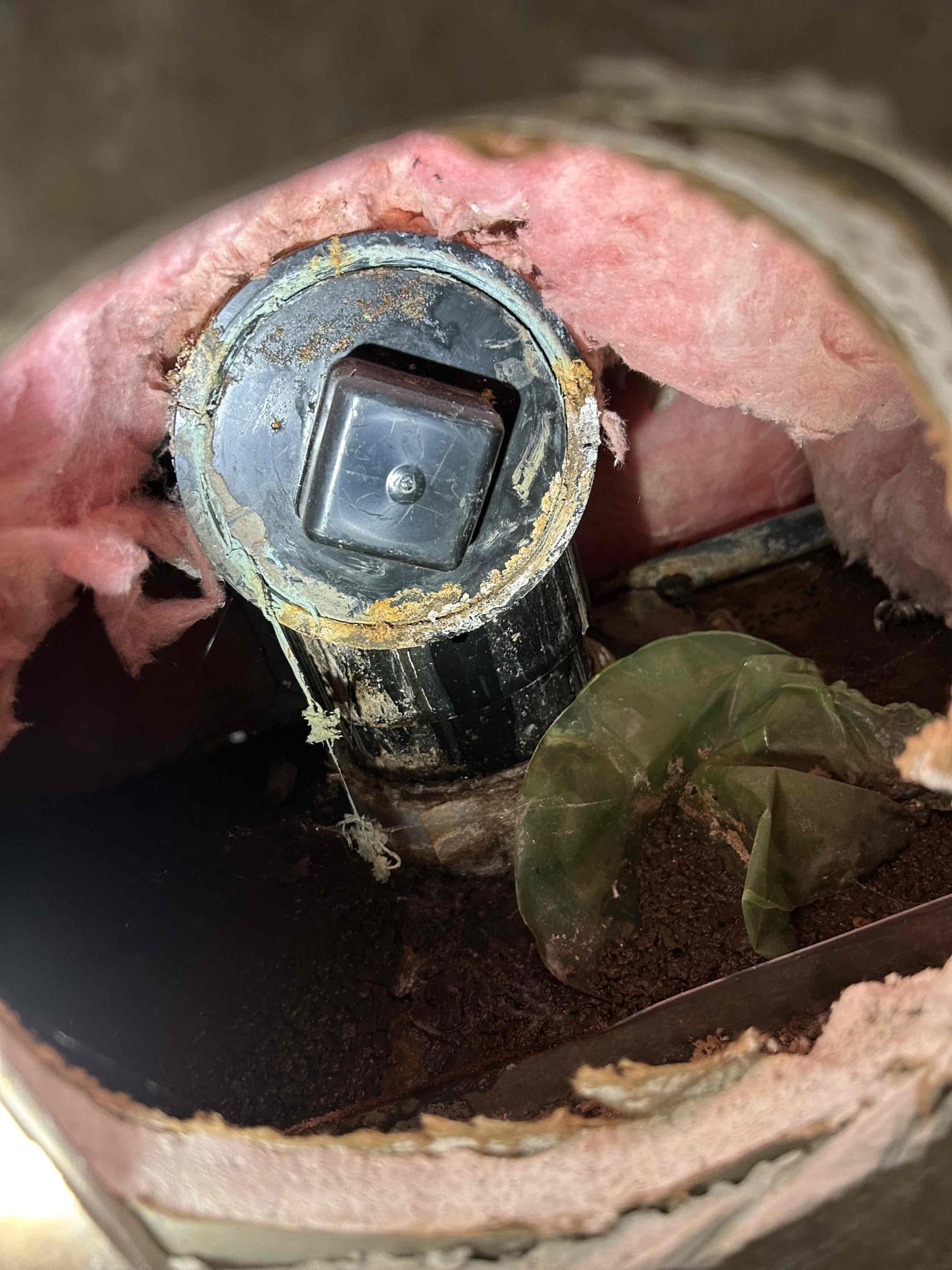 Residential bathroom mold remediation diagnosis. Identifying mold issues to prepare for insured remediation installation. Professional assessment for effective and covered mold removal.