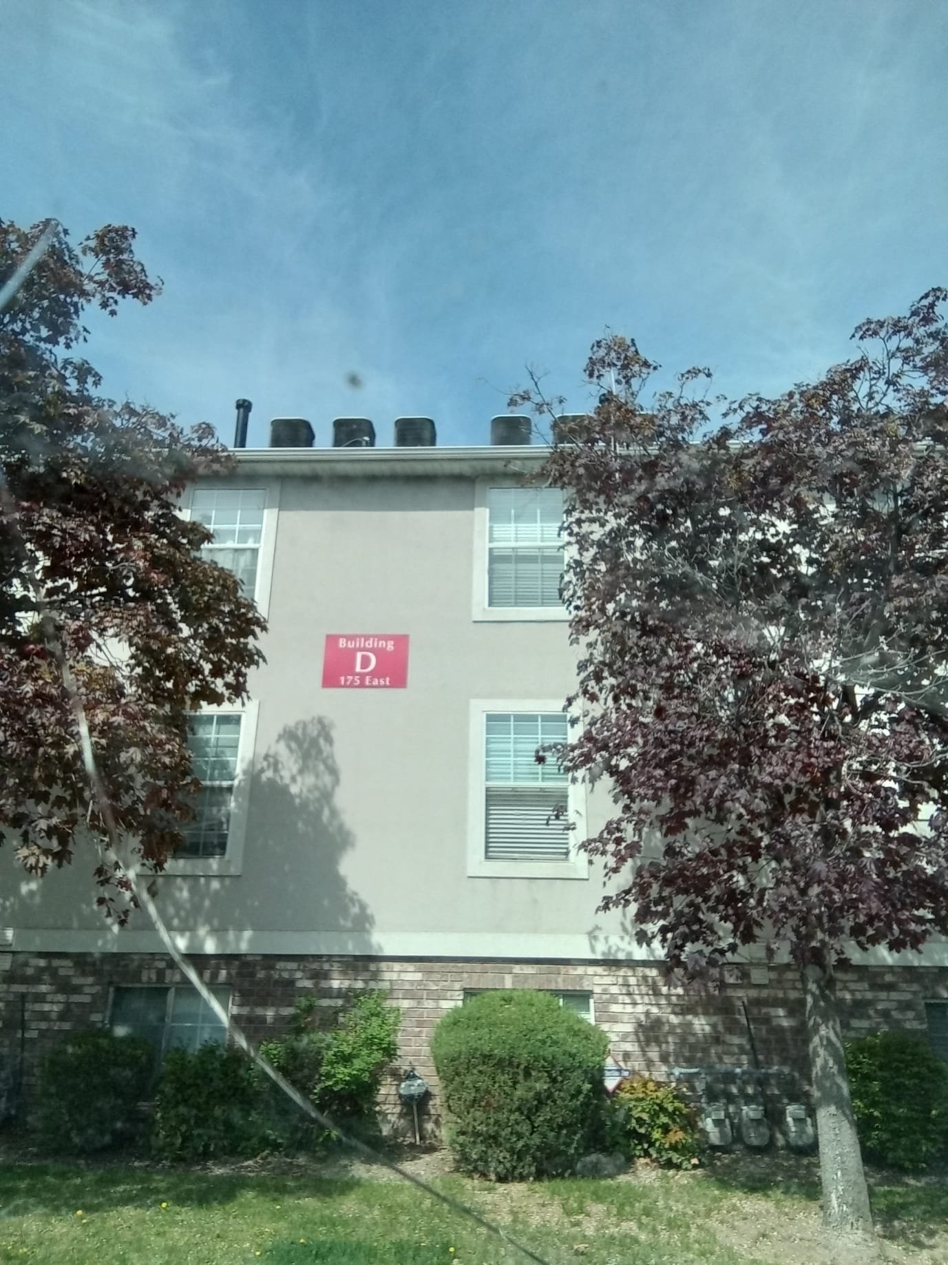 Image depicting mold growth, a common consequence of water damage. Mold can vary in color and texture, often appearing as fuzzy or slimy patches on surfaces. While remediation may be covered by insurance depending on the cause of the water damage, exposure to certain types of mold is linked to potential health issues, raising concerns about long-term effects.