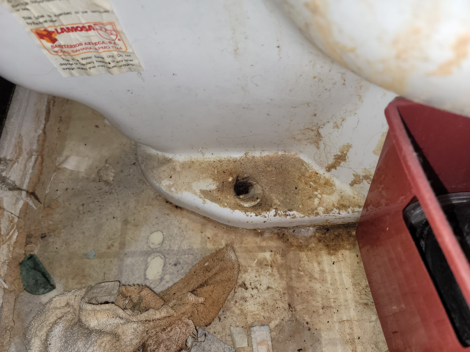 Close-up of plumbing tools including a toilet snake, with a bottle of liquid plumber in the background. Illustrates the question of whether liquid plumber is an effective solution for toilet clogs versus using traditional plumbing methods.