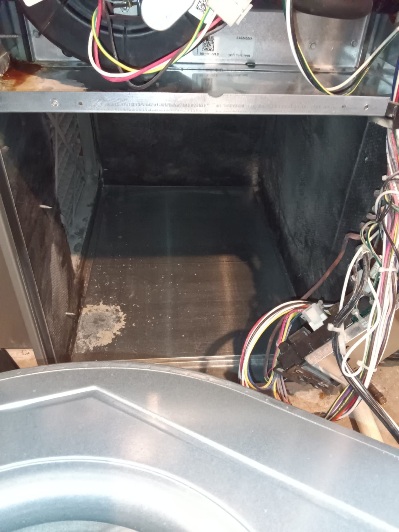 Breathe easier with the best purifier for mold, addressing mold recovery costs effectively. Discover local salt delivery options to support air purification and create a healthier home environment, mitigating mold issues.